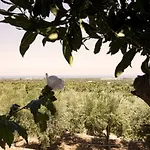 Casa Campagna * Fasano