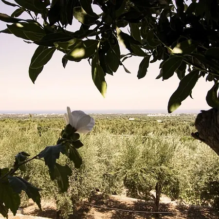 Casa Campagna * Fasano