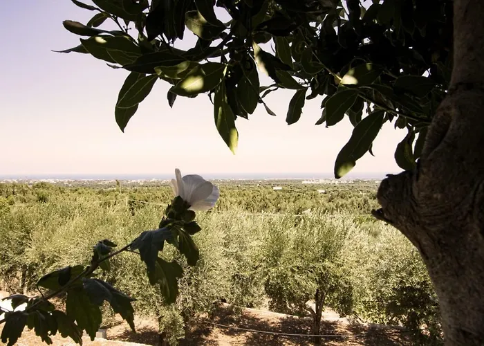 Casa Campagna * Fasano